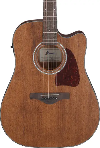 Ibanez AW54CE OPN
