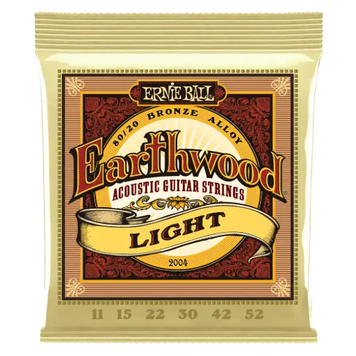[CEB 2004] Ernie Ball Earthwood 80/20 11-52