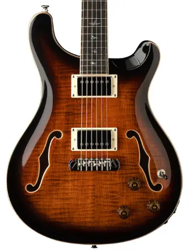 [SEHPEMBBG] PRS SE Hollowbody II Orange Tiger Smokeburst