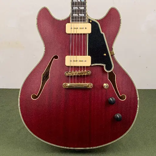 [DAEDCTCHGS] D'Angelico Excel DC Satin Trans Wine
